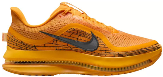 Pánské Běžecké Boty Nike Pegasus Premium
