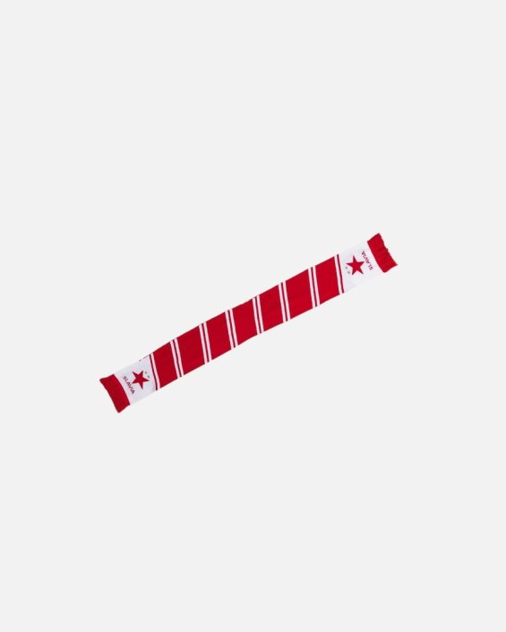 Šála Slavia Praha Stripes