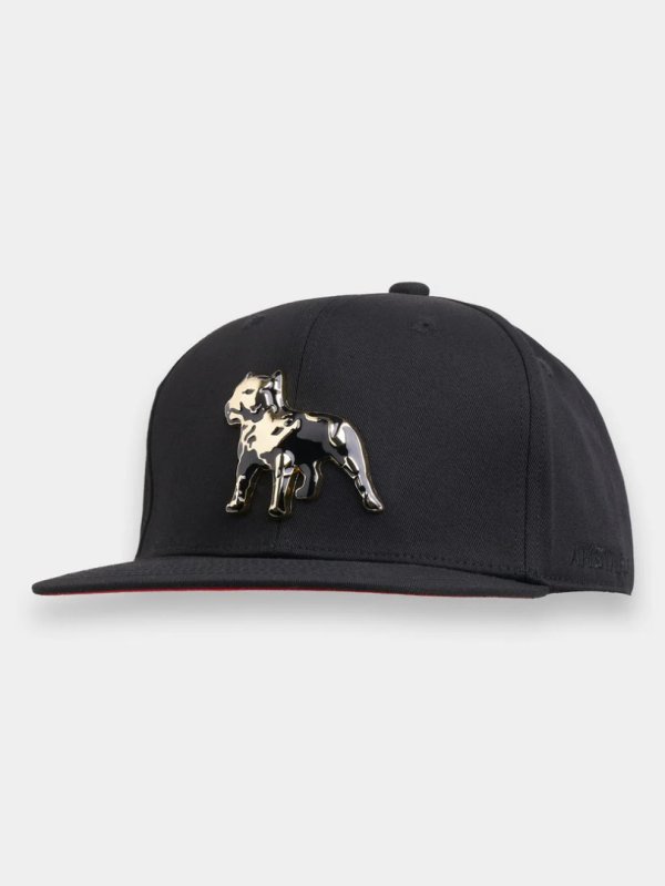 Snapback Amstaff Icon