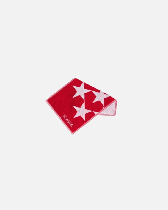 Miniručník Slavia Praha